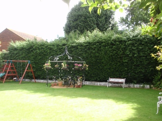 Townscape Tree surgery works